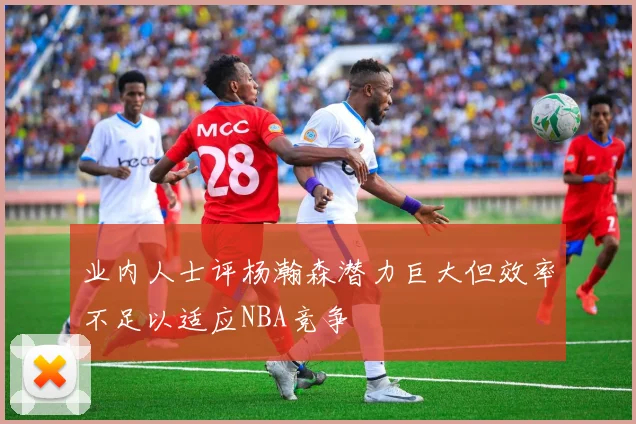 业内人士评杨瀚森潜力巨大但效率不足以适应NBA竞争